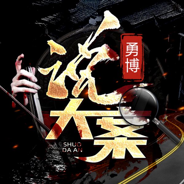 勇博说大案