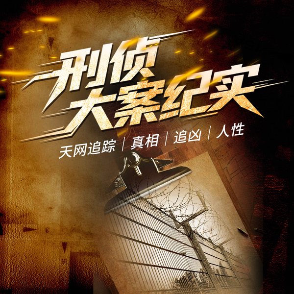 刑侦大案纪实:天网追踪|真相|追凶|人性