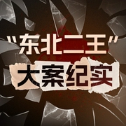 东北二王特大杀人案大案纪实|新中国第一起全国大案，公安部首张悬赏通缉令|三大队我是刑警漂白--钟富庚