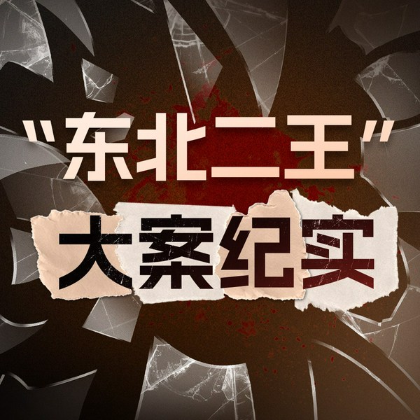 东北二王特大杀人案大案纪实|新中国第一起全国大案，公安部首张悬赏通缉令|三大队我是刑警漂白