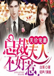 天价宠妻：总裁夫人不好惹-白茶-畅读书城