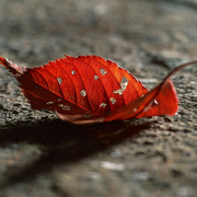 睡前催眠|轻松入睡-佚名-水