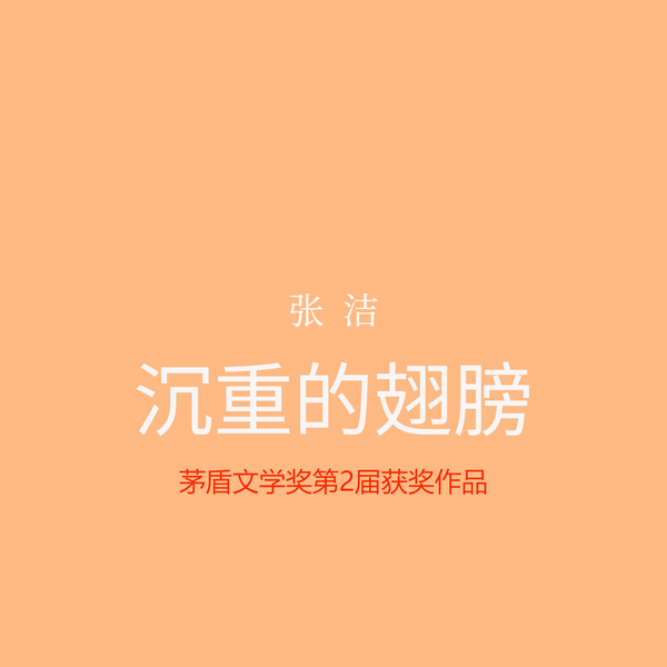 沉重的翅膀