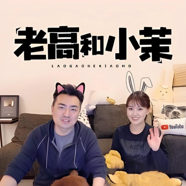老高与小茉