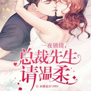 一夜锁情：总裁先生请温柔