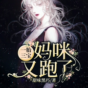 一胎三宝：妈咪又跑了-佚名-趣阅有声，冬赫，老恒，一陌孤城，小羊