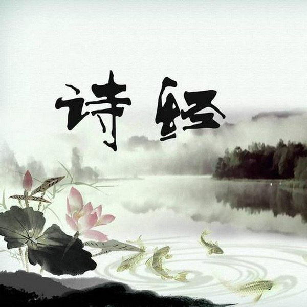 诗经|原文朗读