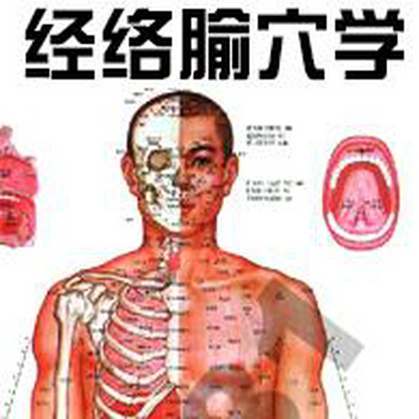 经络腧穴学|中专四版教材