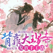 背靠大理寺发放手工活|养成系|大女主|必听有声剧