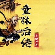 童林后傳|大破萬隆藏風島|書接單田芳版-單田芳|徐盛宇-時代文化