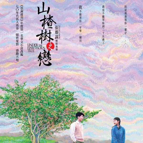 山楂树之恋|电影同名小说