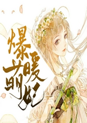 爆萌暖妃-佚名-酷小声