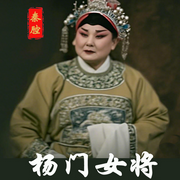 秦腔《杨门女将》|王玉琴|刘晓玲|华美丽-佚名-东方大剧院