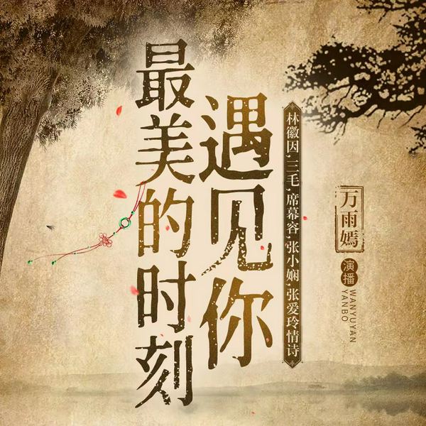 最美的时刻遇见你|林徽因 三毛 张爱玲|情诗