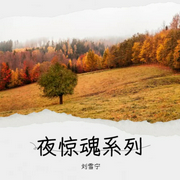 夜惊魂系列-佚名-播音刘雪宁