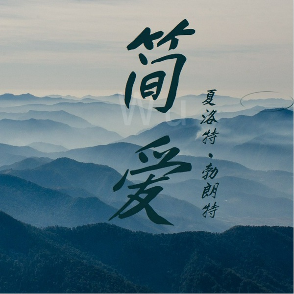 简爱：独立女性觉醒指南|世界经典名著|女性成长史诗