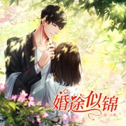 婚途似锦-佚名-主播天下书盟