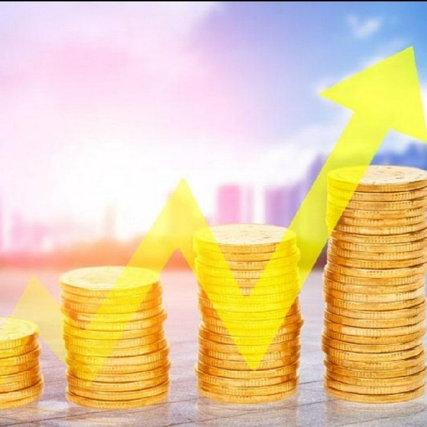 指数基金投资指南|银行螺丝钉