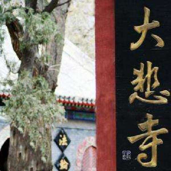 大悲寺外|老舍