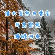 借大自然白噪音，開啟悠然睡眠時光-佚名-主播點(diǎn)閱有聲