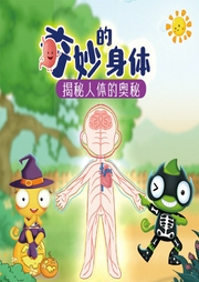 奇妙的身体：揭秘人体的奥秘-南京变色龙培训有限公司-星舟文化