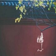 睡前听杨宁老师-佚名-圈圈