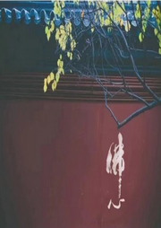 睡前听杨宁老师-佚名-圈圈