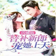 闪婚后，替补新郎宠她上天-佚名-郁郁佳成，会飞的玩具熊