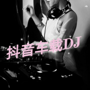 抖音车载DJ-佚名-有生遇见