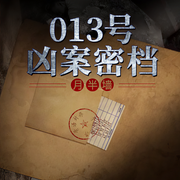 013号凶案密档
