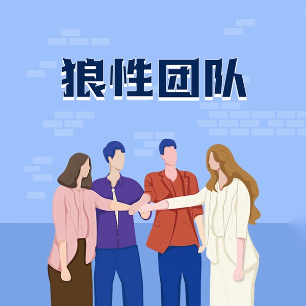 狼性团队：企业如何打造精英团队