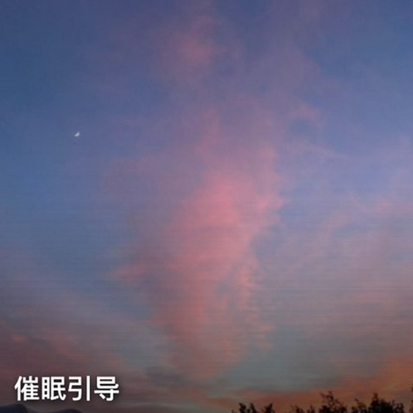 考拉催眠|20分钟进入熟睡状态