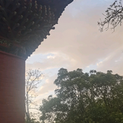 我說您聽-佚名-主播說書的蟬