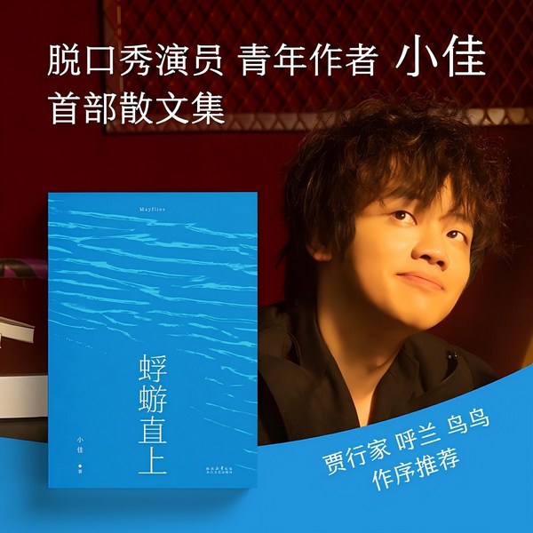 蜉蝣直上|脱口秀演员小佳首部文学作品