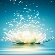 禅心佛乐-佚名-辰音坊