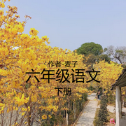 六年级语文下册-佚名-麦子