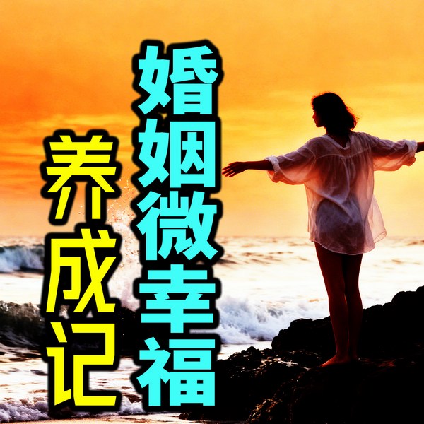 婚姻微幸福养成记