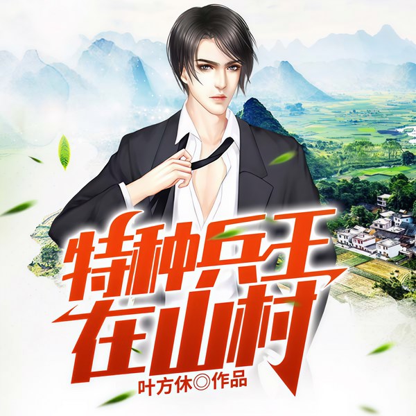特种兵王在山村|特种兵王|山村村长|智慧能力|过往碰撞