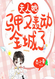 夫人她马甲又轰动全城了-灵小哥-线牵的风筝