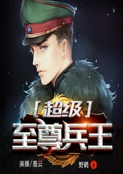 超级至尊兵王-野鹤-畅读书城