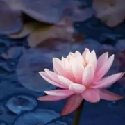 盂兰盆J学记--慈云讲堂-佚名
