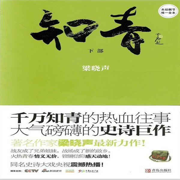 知青(下)