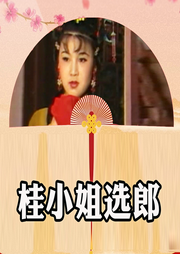 黄梅戏电视剧|桂小姐选郎》韩再芬|麻彩楼-佚名-东方大剧院