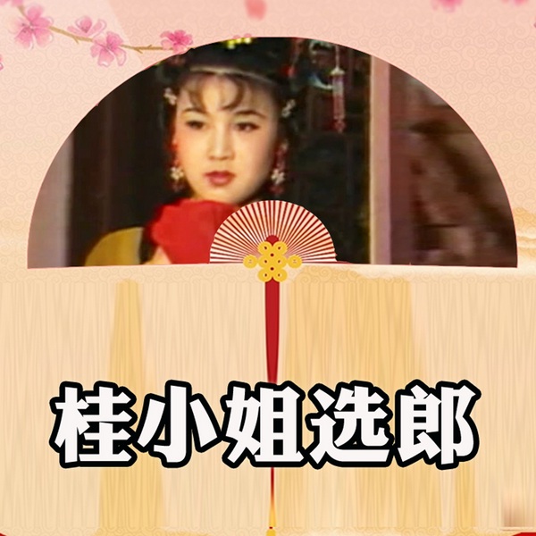 黄梅戏电视剧|桂小姐选郎》韩再芬|麻彩楼