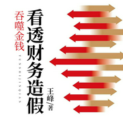 吞噬金钱看透财务造假|中国首部财务造假小说--喜马拉雅