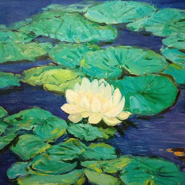 沉思录