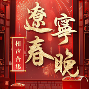 辽视春晚相声合辑-辽宁广播电视台-大喜聆音