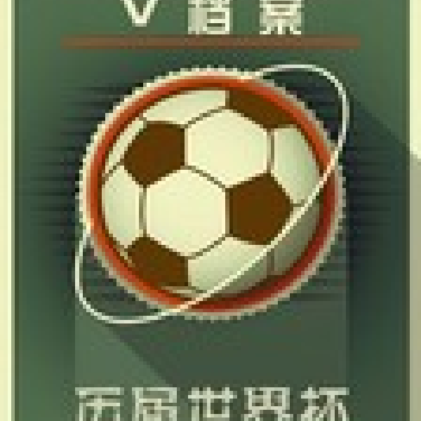 V档案:历届世界杯