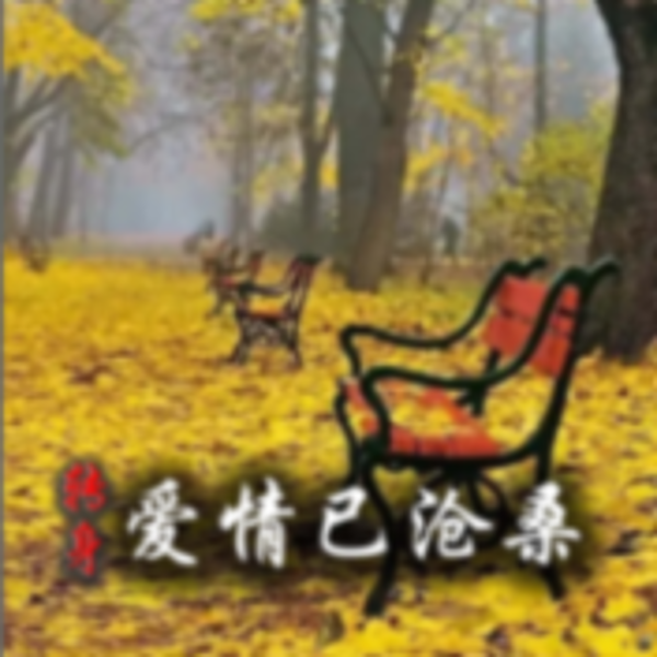 转身爱情已沧桑|青春校园|浪漫爱情|免费有声小说