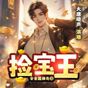 捡宝王|重置\多播版本）|搞笑轻松幽默|都市异能精品多人剧-全金属弹壳-大唐晓声
